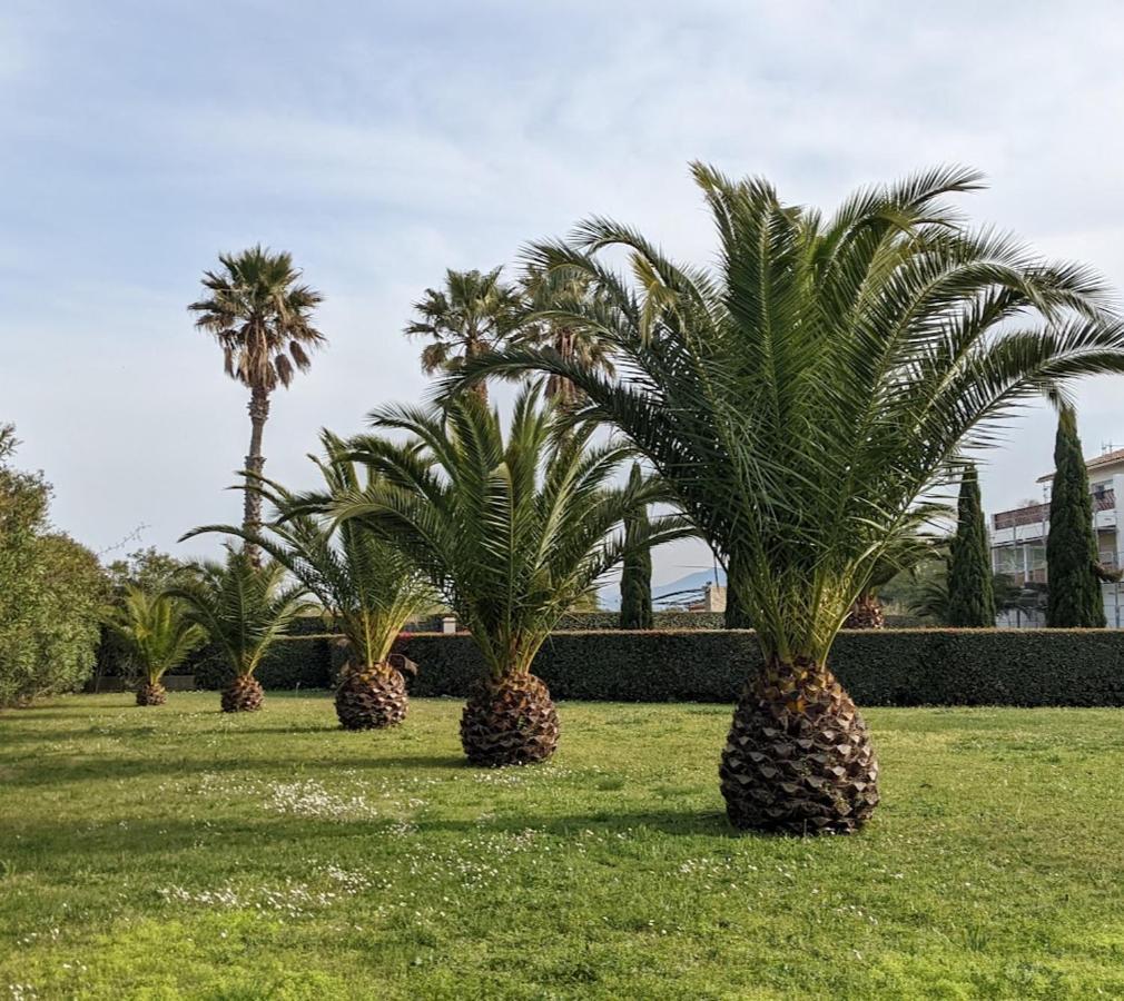 Standing T3Bis Presqu'Ile De La Lagune - Piscine - Mer & Nature Saint-Cyprien  Exterior foto
