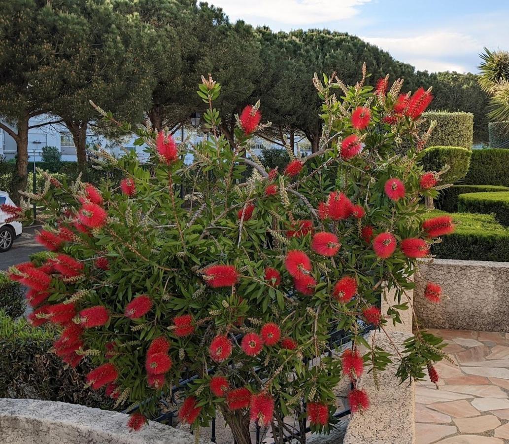 Standing T3Bis Presqu'Ile De La Lagune - Piscine - Mer & Nature Saint-Cyprien  Exterior foto