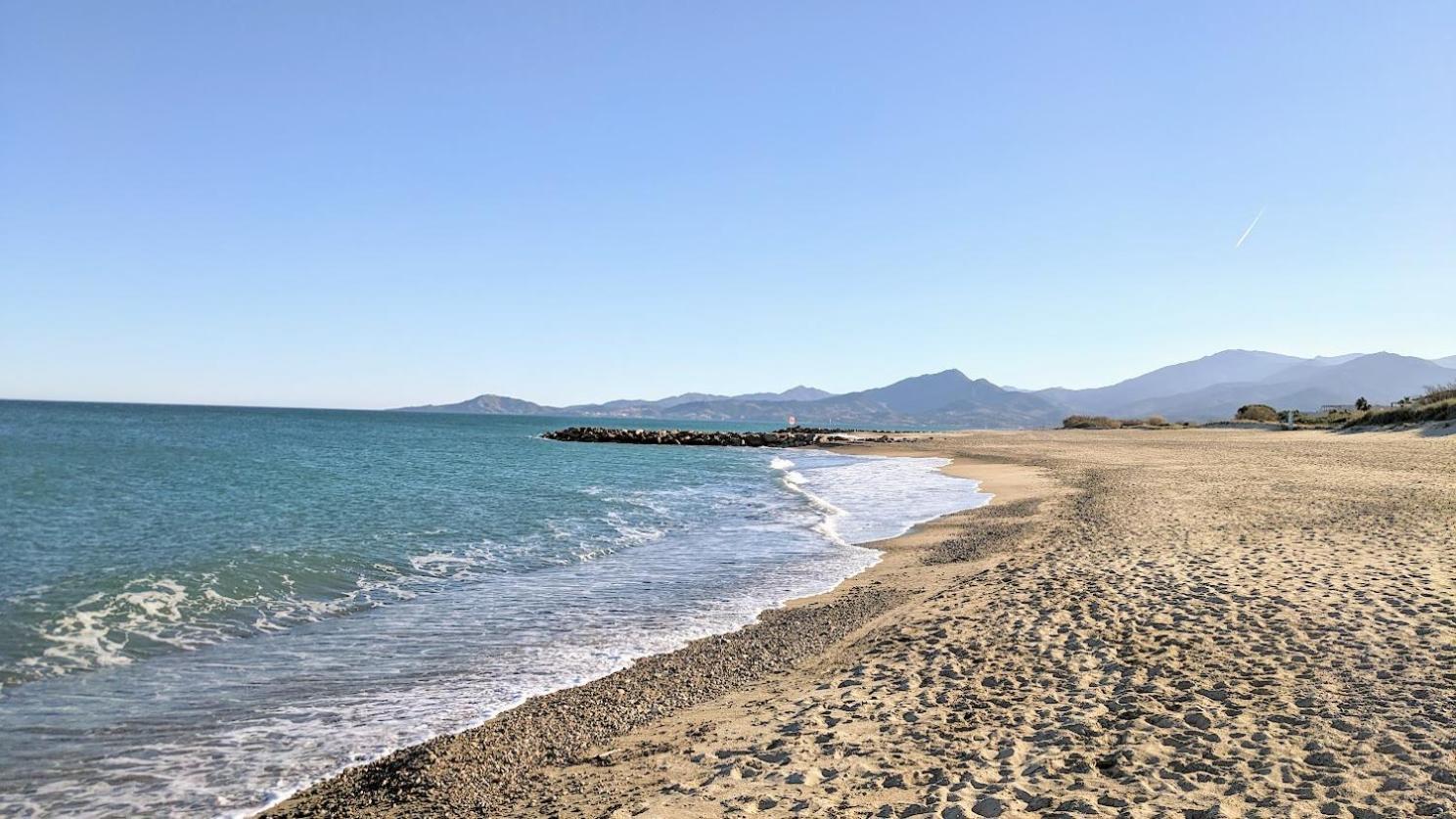 Standing T3Bis Presqu'Ile De La Lagune - Piscine - Mer & Nature Saint-Cyprien  Exterior foto
